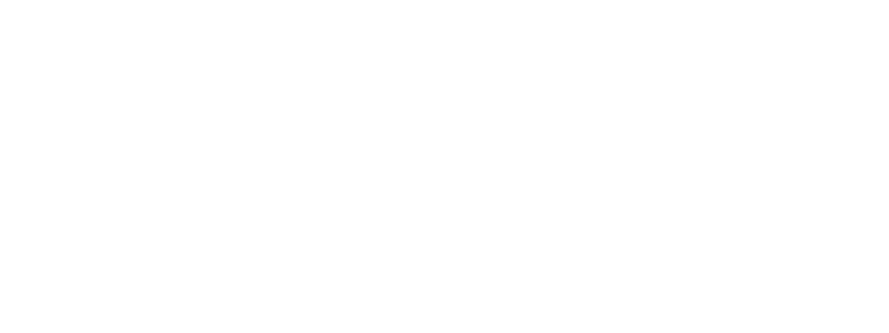 Perritos Perdidos y mas