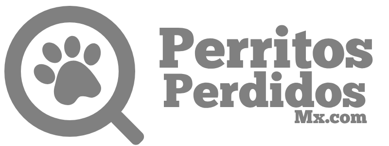 Perritos Perdidos y mas