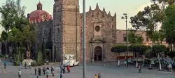 Encuentra mascotas perdidas en Tlalnepantla