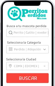 Pantalla de celular muestra la app Perritos Perdidos disponible en tiendas