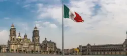 Encuentra mascotas perdidas en Ciudad de México