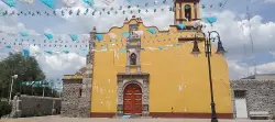 Encuentra mascotas perdidas en Ecatepec