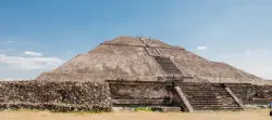 Encuentra mascotas perdidas en Estado de México