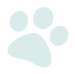 Consulta nuestros planes planes-precios-icono-patita-mascotas