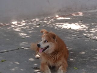 IMG_20240415_122754_1