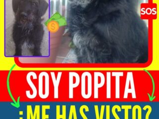 popita