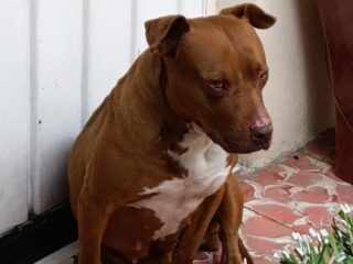 IMG-20241225-WA0010-2