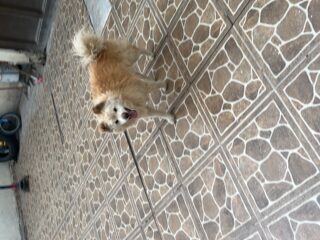 70BA9F8F-516A-4948-8EC7-A4050F4BC957