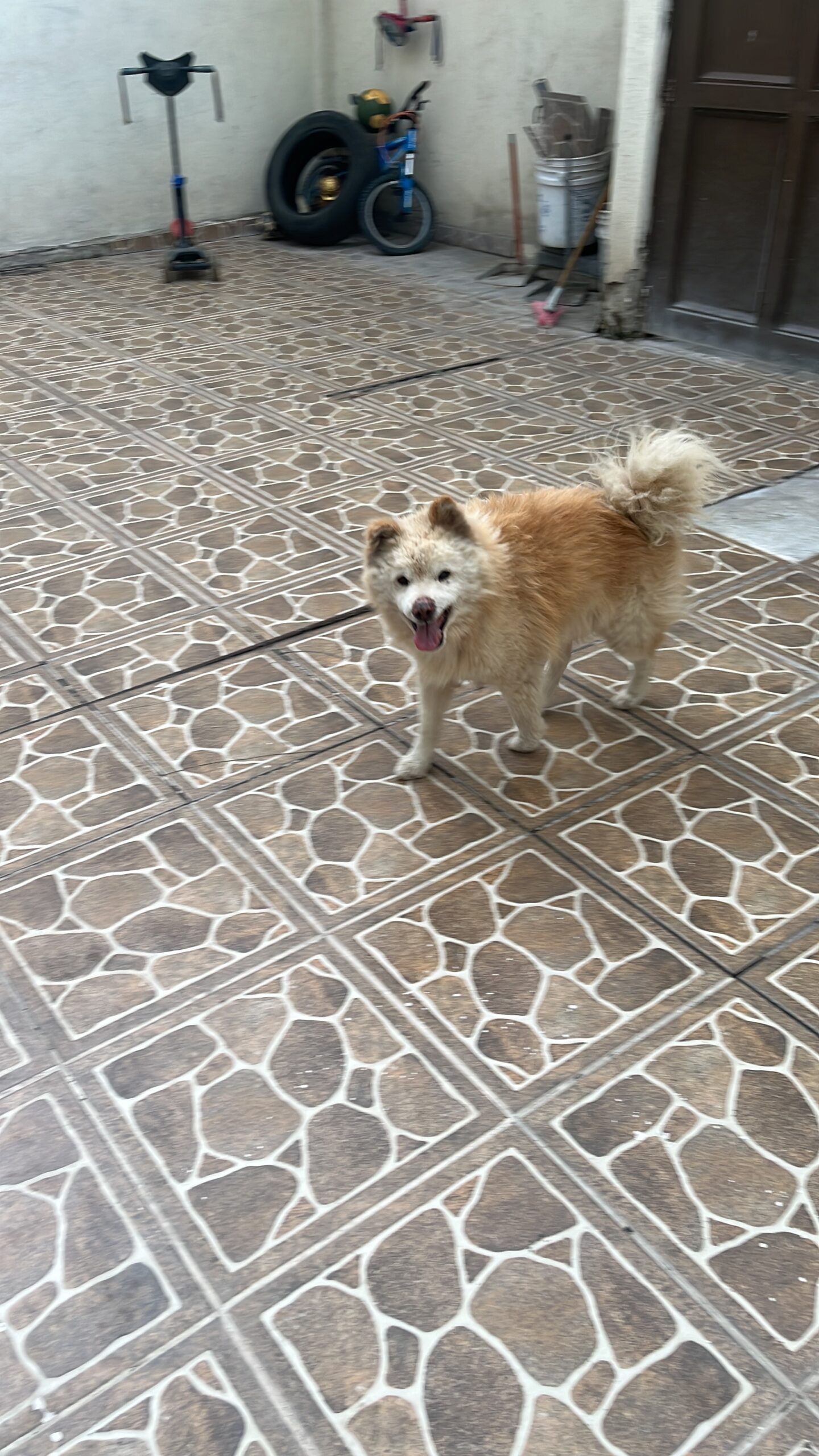 70BA9F8F-516A-4948-8EC7-A4050F4BC957